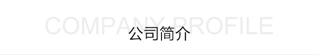 公司简介